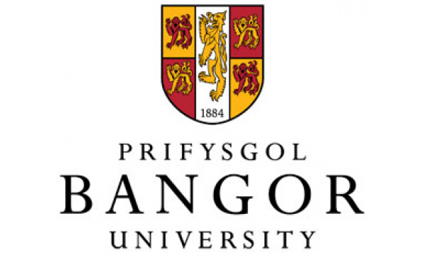 第十八届高校国际汉语教学研讨会