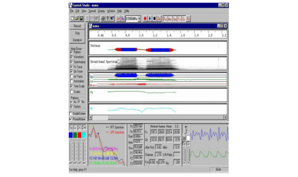 Laryngograph as a tool in diagnosis and therapy of voice disorders
