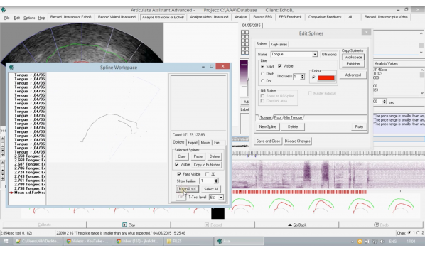 Tutorial 5- The Spline Workspace