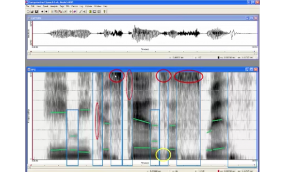 Step by step through a spectrogram