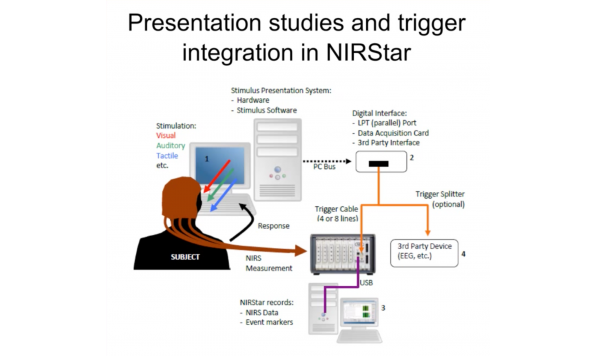 NIRx概述- fNIRS成像系统和软件演示