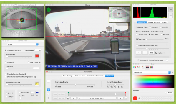 Positive Science Eye Tracking Driving Example (软件视图)