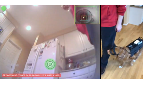 Positive Science Eye-Tracking a Dog (Canine)