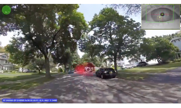 Positive Science Eye Tracking Bike Riding Example