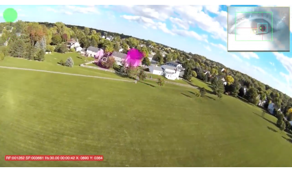 Positive Science Eye Tracking FPV
