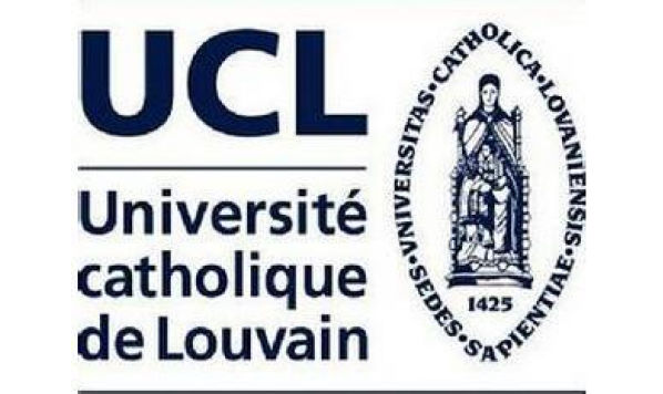 2020年11月24号视频回放—比利时鲁汶大学Hendrik De Smet教授—同化与分化：语言演化中的竞争机制