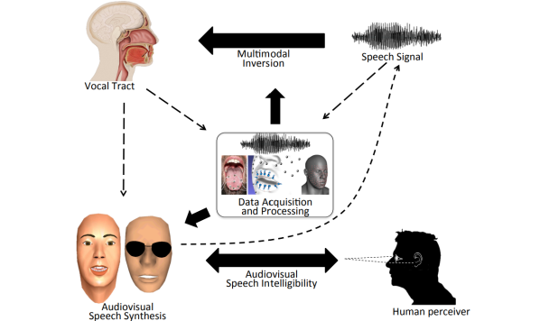 Multimodal Speech_ from articulatory speech to audiovisual speech