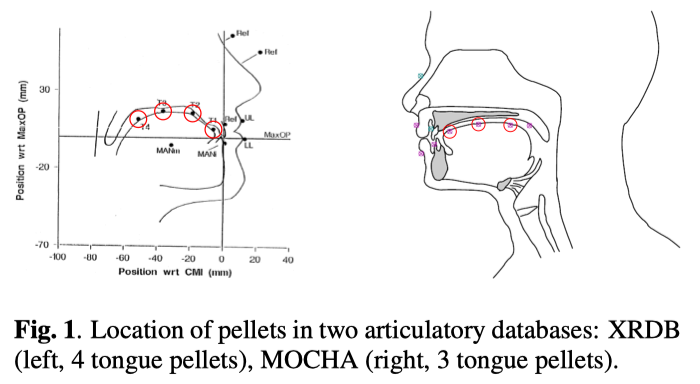 Predicting tongue shapes from a few landmark locations