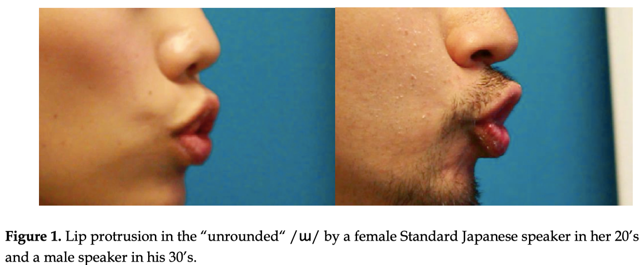 The Japanese unrounded back vowel /ɯ/ is in fact rounded central/front ...