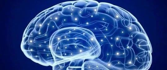 超越解释的充分性（Beyond explanatory adequacy）