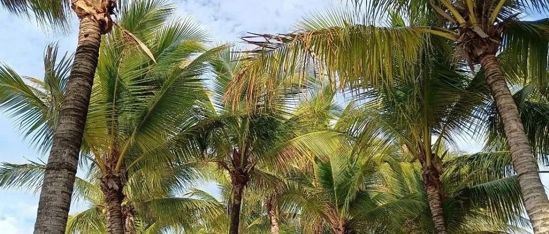 社会语言学——《具体语言学》第七章