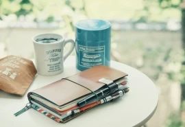 语文词典‧词典释义——语文词典中科技条目的释义元素：王伟