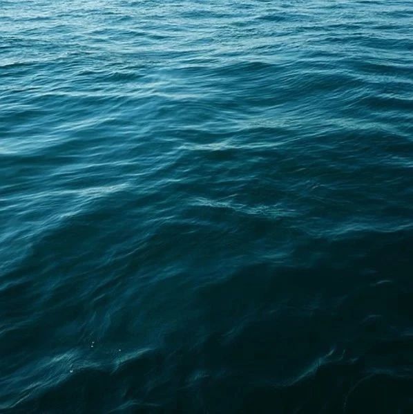 英语专业八级考试的选材来自哪儿？