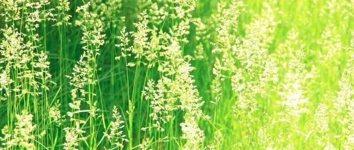 章富刚、香琴、王亚伟《西双版纳古称“车里”名源新考》《中国历史地理论丛》2019年第1期