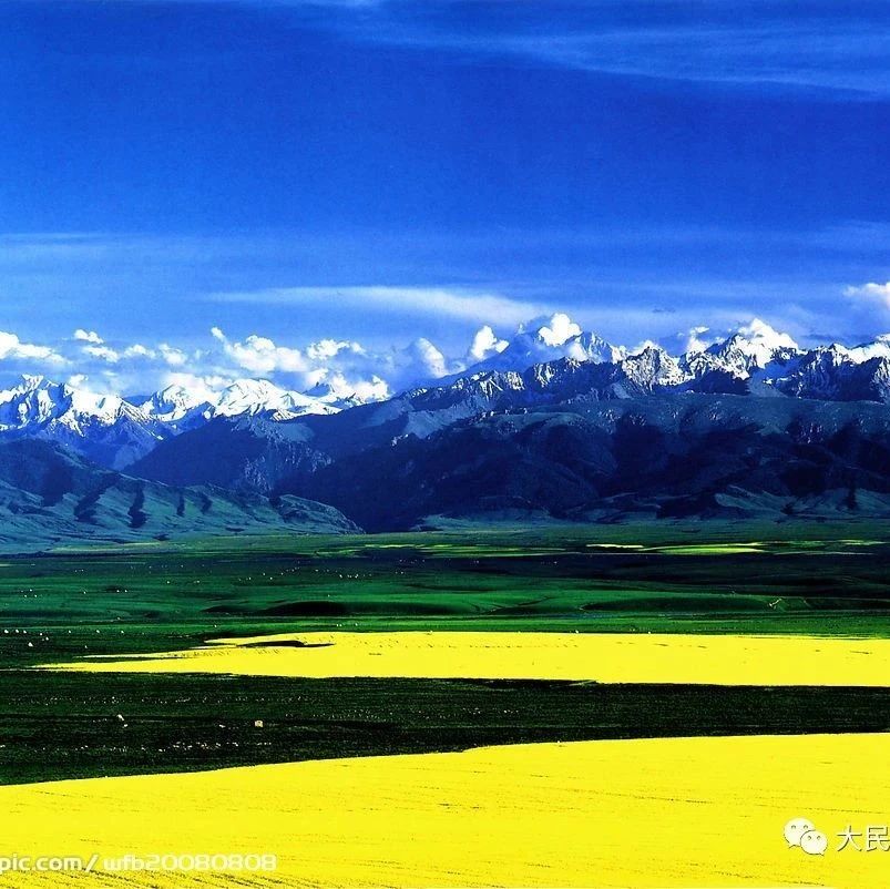 人民日报汇总的实用英语短语合集，建议收藏！