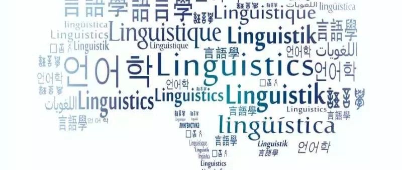 Giuseppe Samo博士访谈