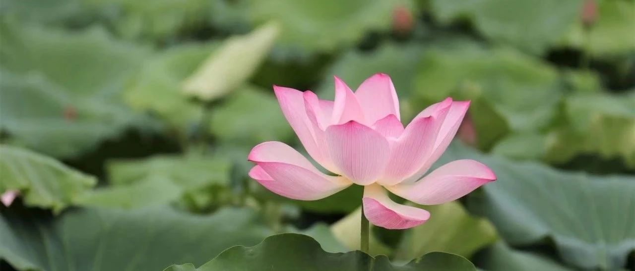 方言音系|博白地佬话同音字汇