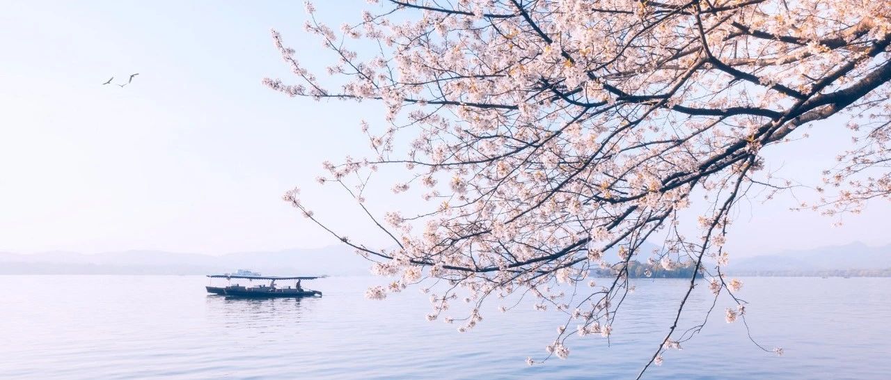 王珏 | 由语调/疑问标记和语气词的共现关系构建述题的语气结构