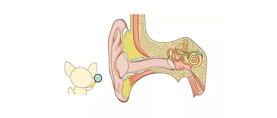 听障儿童的双模式干预