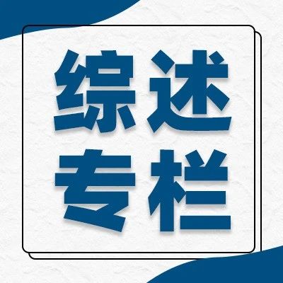 【综述专栏】一日看尽长安花——NLP可解释研究梳理