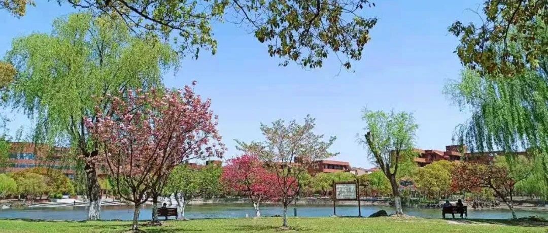 论文标题如何成精