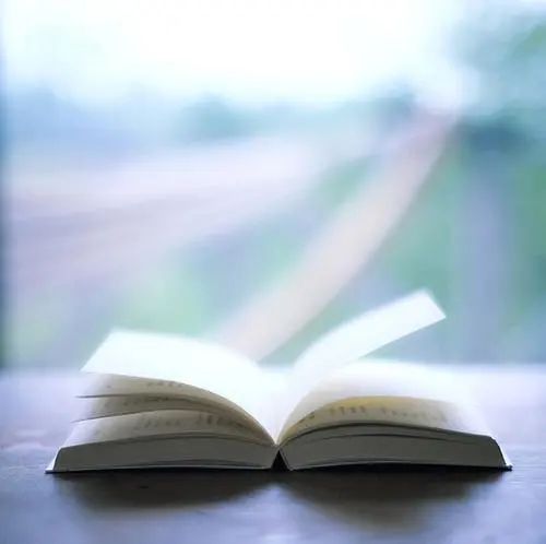 侯瑞芬丨品牌命名与语言文字规范