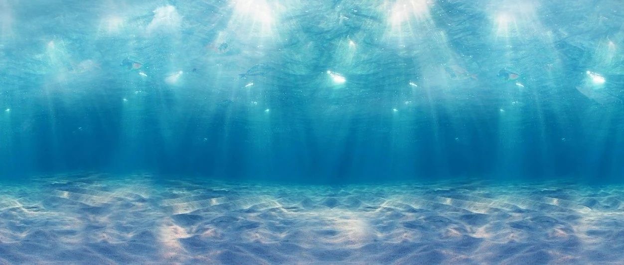 SILENTTRINITY从0到1