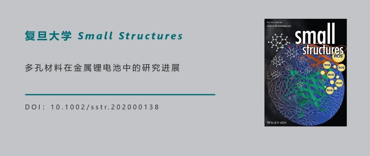 复旦大学李伟和赵东元Small Structures：多孔材料在金属锂电池中的研究进展